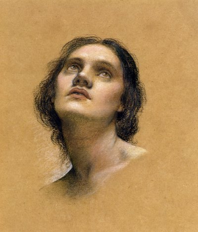 Studie van een hoofd door Evelyn De Morgan